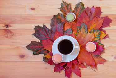 Similar image 21509055