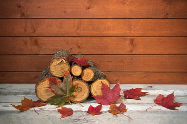 Similar image 21509060