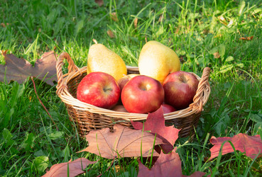 Similar image 21509062