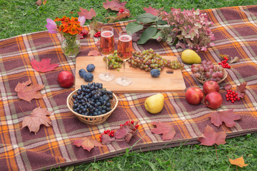 Similar image 21509069