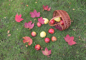 Similar image 21509072