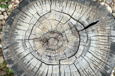 Similar image 21509223