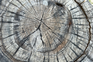 Similar image 21509224