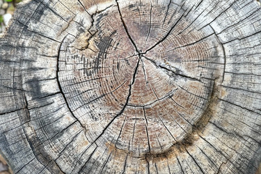 Similar image 21509225