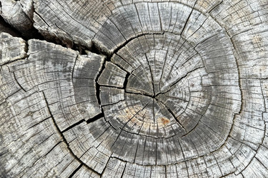 Similar image 21509226