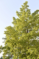 Similar image 21509089