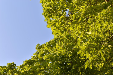 Similar image 21509090