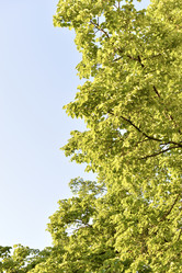 Similar image 21509091