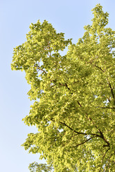 Similar image 21509092