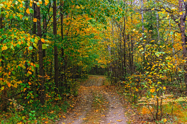 Similar image 21509227