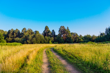 Similar image 21509229