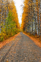 Similar image 21509231