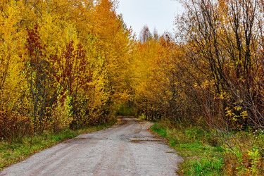 Similar image 21509233