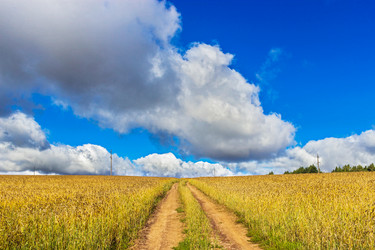 Similar image 21509236