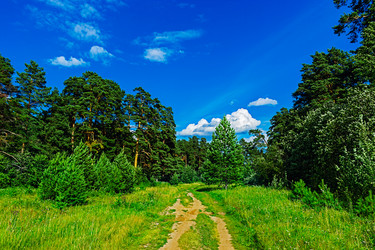 Similar image 21509240