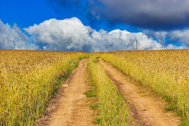 Similar image 21509246