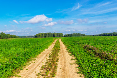 Similar image 21509250