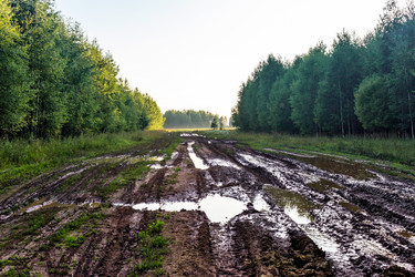 Similar image 21509253