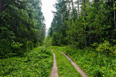 Similar image 21509254