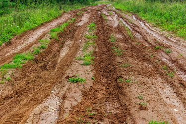 Similar image 21509354