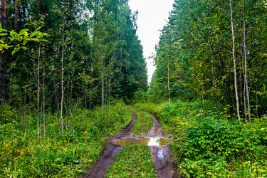 Similar image 21509355