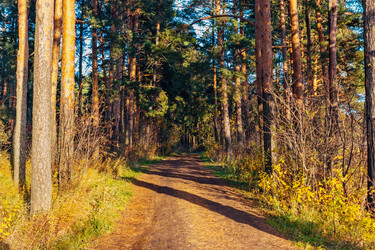 Similar image 21509359