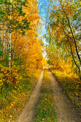 Similar image 21509361