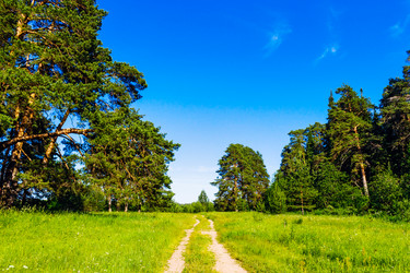 Similar image 21509364