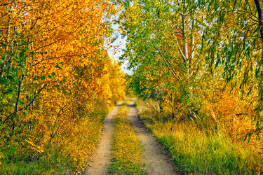 Similar image 21509365