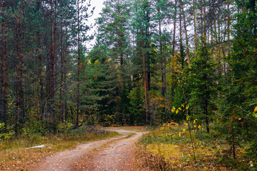 Similar image 21509371