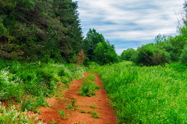 Similar image 21509372