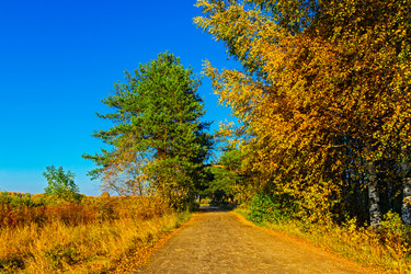 Similar image 21509375