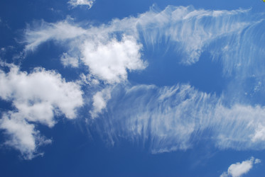 Similar image 21511440