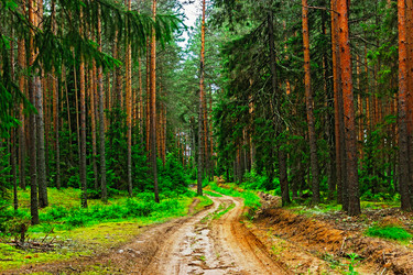 Similar image 21509376