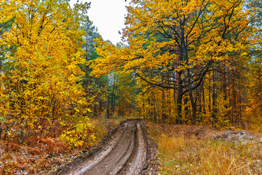 Similar image 21509379