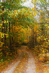 Similar image 21509381