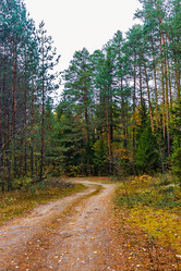 Similar image 21509385