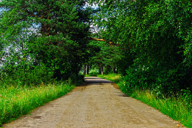 Similar image 21509386