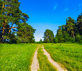 Similar image 21509387