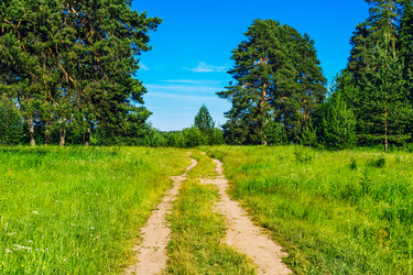 Similar image 21509389