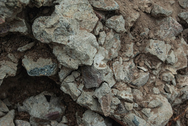 Similar image 21509255