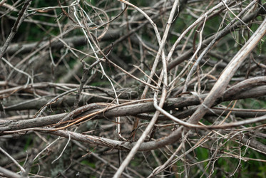 Similar image 21509256