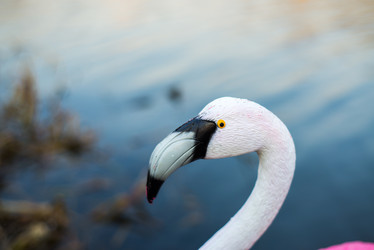 Similar image 21510675