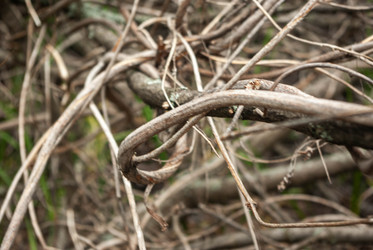 Similar image 21509259