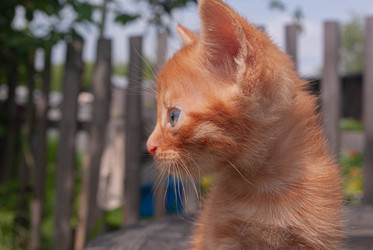 Similar image 21509269