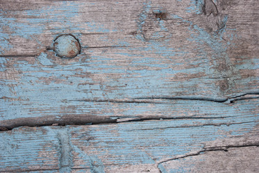 Similar image 21509270