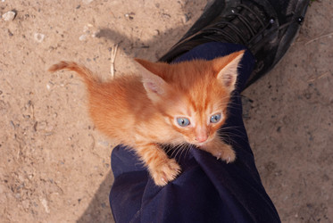 Similar image 21509271