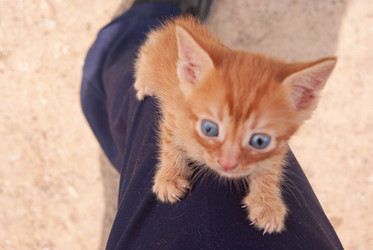 Similar image 21509273