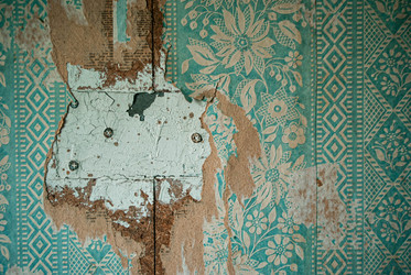 Similar image 21509274