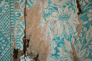 Similar image 21509281